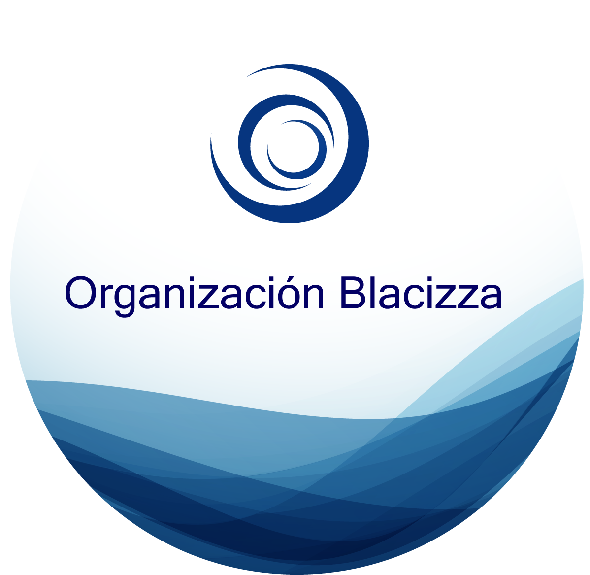 Organización Blacizza de Seguros Generales